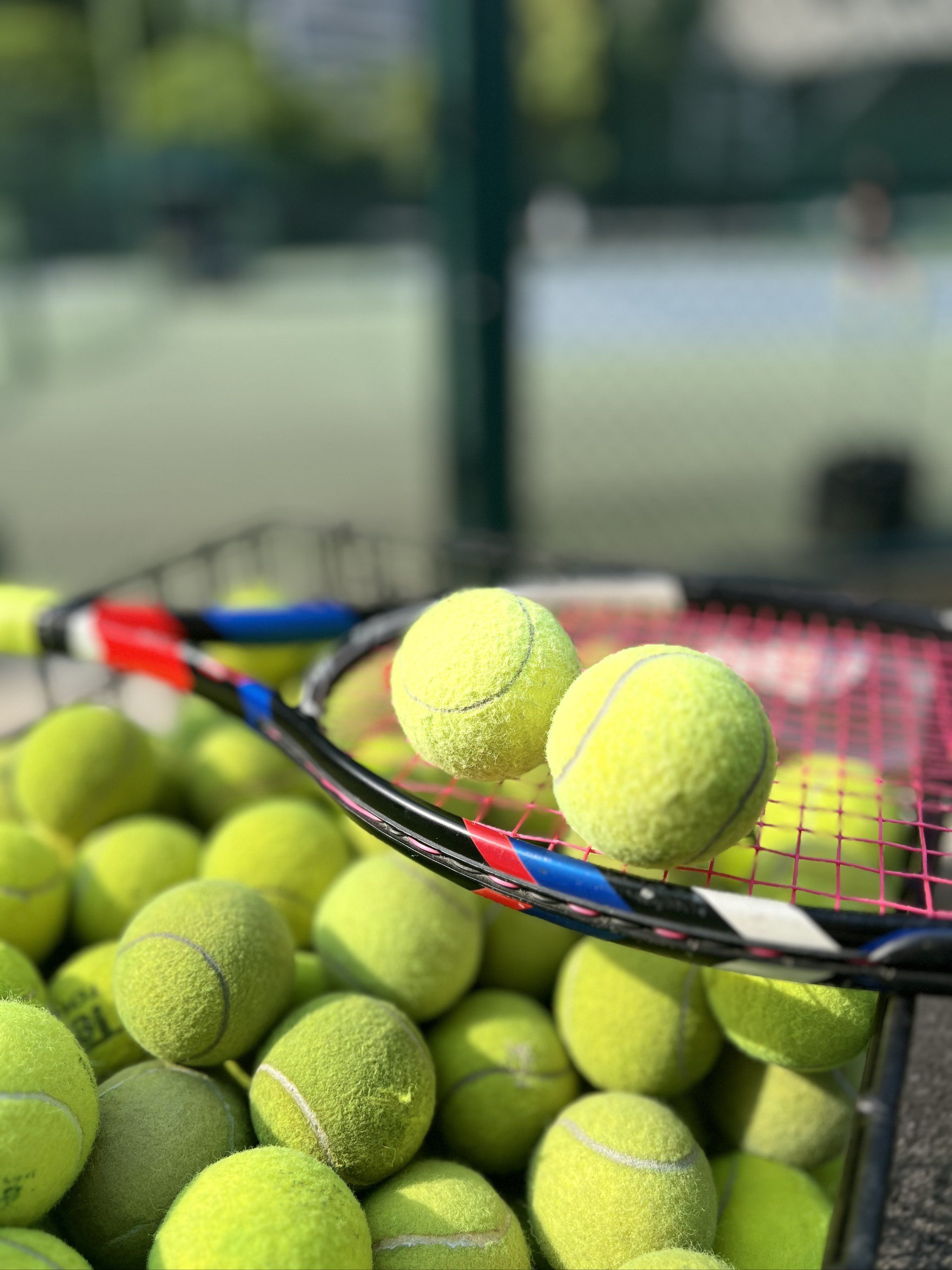 热议U20国足出局:四场比赛质量很好 遗憾出局也是进步_世青赛_足球_中国.